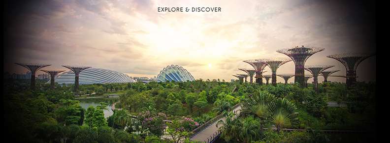 (圖/新加坡濱海灣花園官網,遠見雜誌提供) (圖/新加坡濱海灣花園官網,遠見雜誌提供)