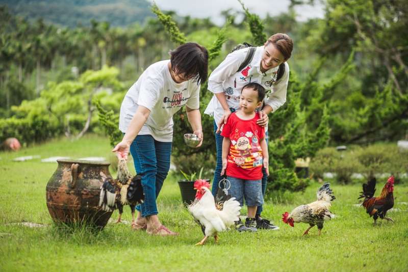 映像頂雙溪二日遊，帶民眾用慢活的節奏，感受最在地的里山生活。（圖／新北市觀光旅遊局提供）