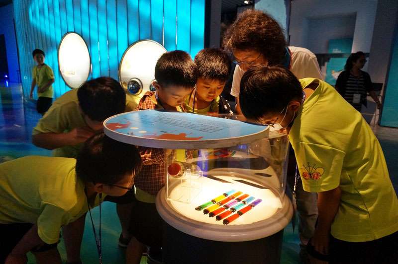 偏鄉學童對海洋的各種生態，十分好奇，張大眼睛瞧仔細。（圖／海科館提供）