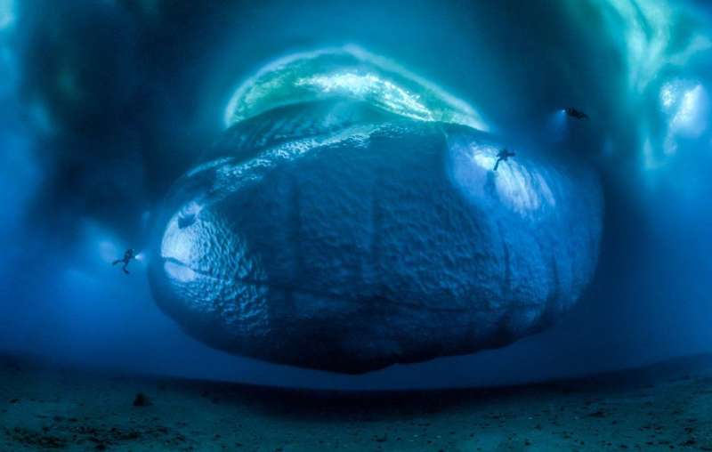 WPY「地球的環境」組別得獎作品《冰雪怪獸》(The ice monster)。(BBC中文網) WPY「地球的環境」組別得獎作品《冰雪怪獸》(The ice monster)。(BBC中文網)