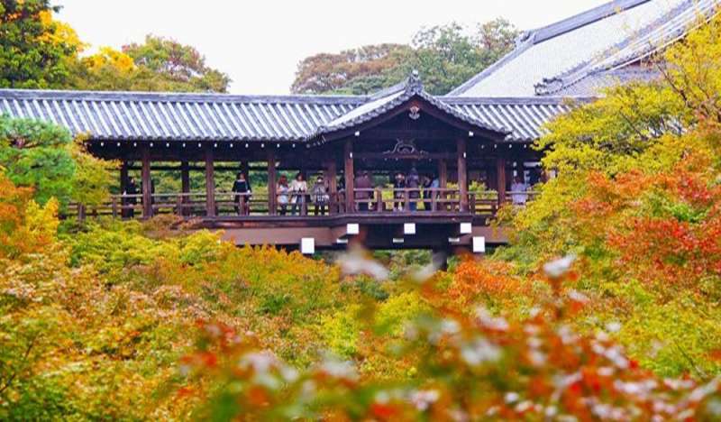 東福寺(圖/HotelsCombined提供) 東福寺(圖/HotelsCombined提供)
