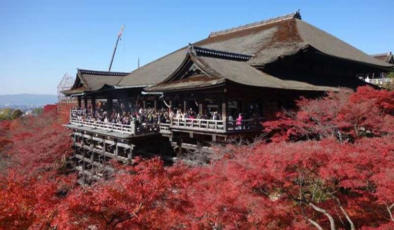 清水寺(圖/HotelsCombined提供) 清水寺(圖/HotelsCombined提供)