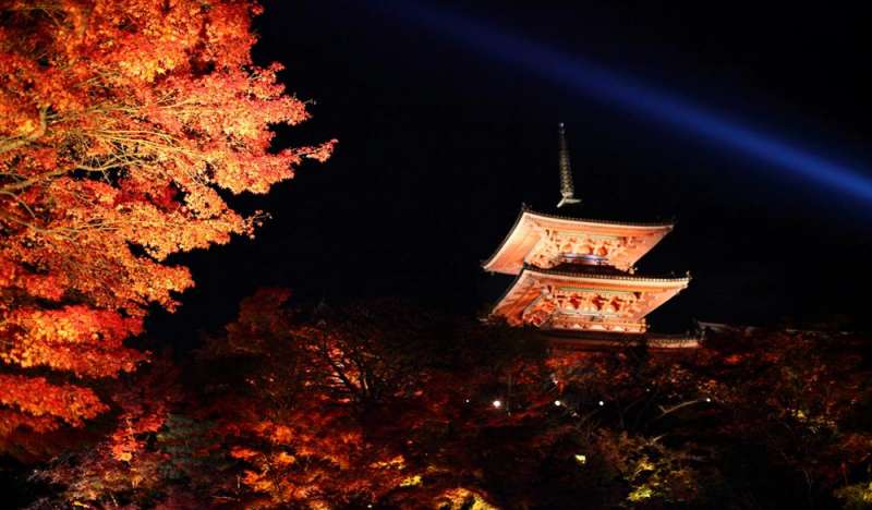 清水寺(圖/HotelsCombined提供) 清水寺(圖/HotelsCombined提供)