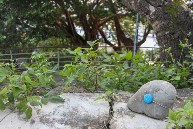 (圖/城市美學新態度提供) (圖/城市美學新態度提供)