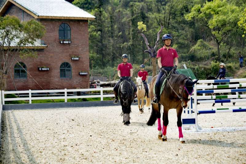 horse-2697579_1920.jpg horse-2697579_1920.jpg