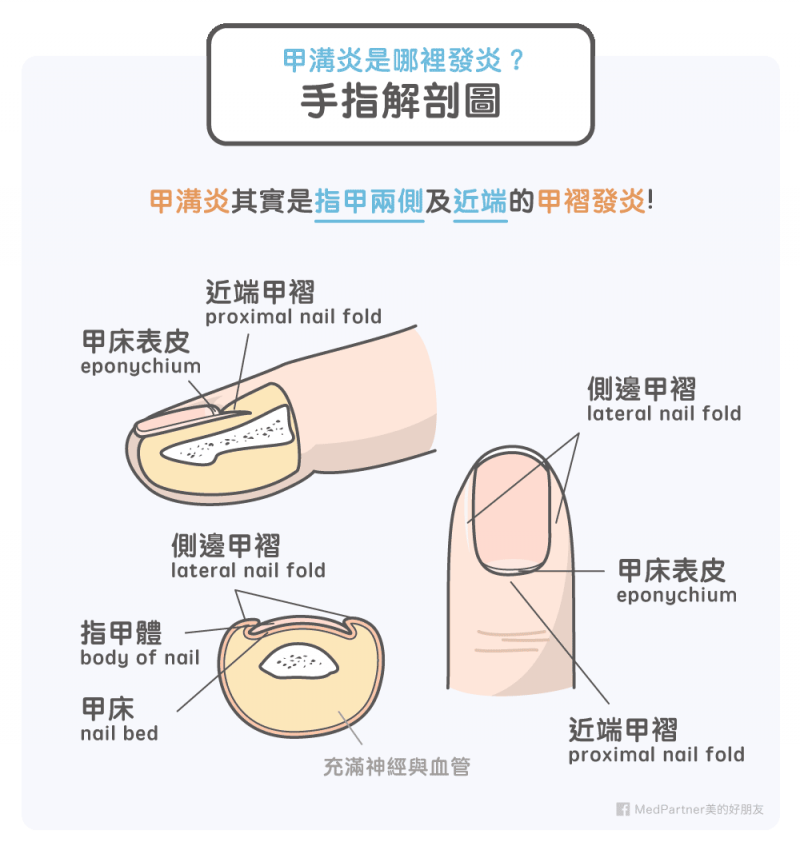 (圖/MedPartner提供) (圖/MedPartner提供)