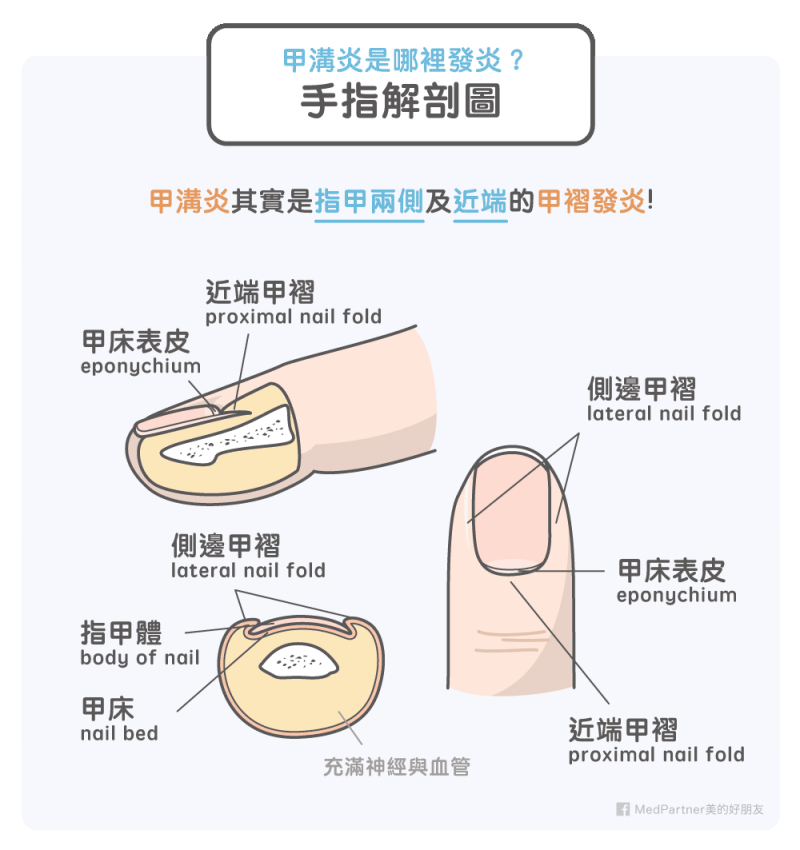 （圖／MedPartner提供）