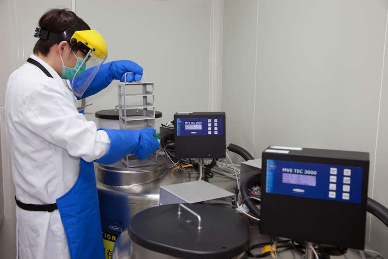 生醫科技廠商開發的「中空微米粒子的製造方法」,媲美現今最火紅的CAR-T臨床治療技術。(圖/國璽幹細胞集團提供) 生醫科技廠商開發的「中空微米粒子的製造方法」,媲美現今最火紅的CAR-T臨床治療技術。(圖/國璽幹細胞集團提供)