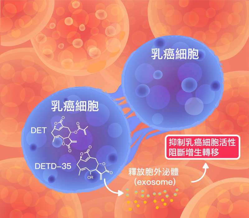(圖/張語辰攝影,研之有物提供) (圖/張語辰攝影,研之有物提供)