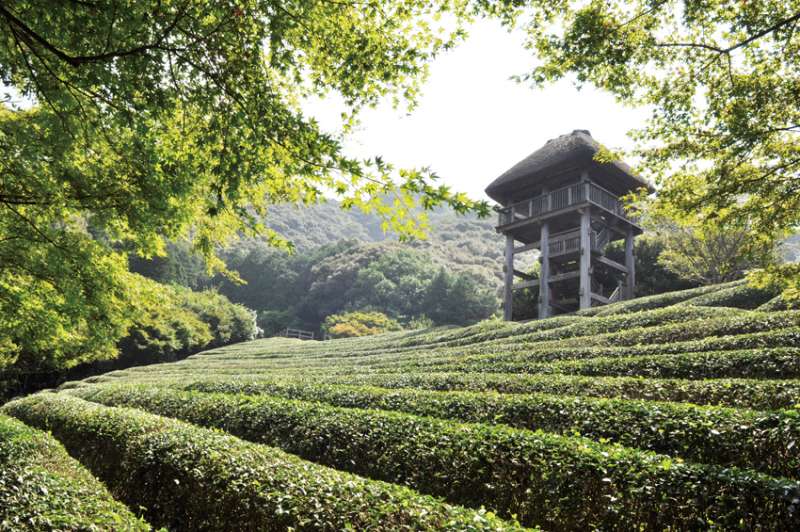 （圖／山岳文化提供）