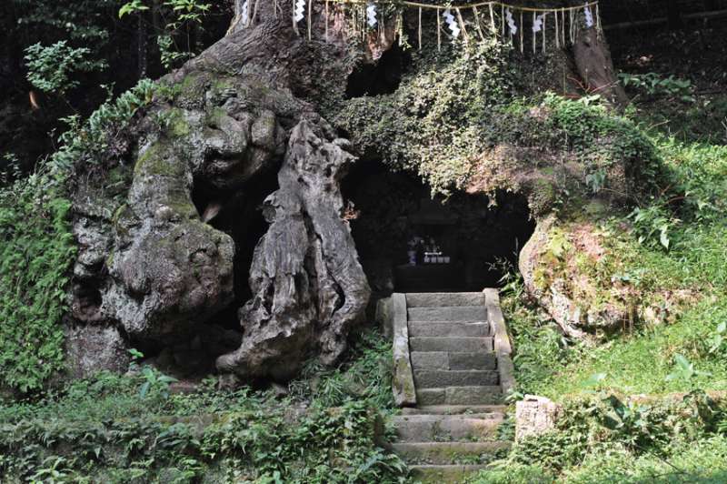 (圖/山岳文化提供) (圖/山岳文化提供)