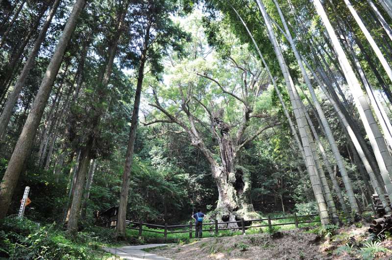 （圖／山岳文化提供）