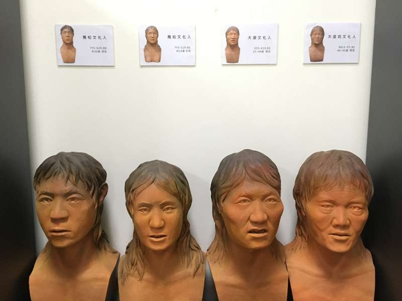 左邊兩位蔦松文化人,屬於南方臉孔。右二的大湖文化人、右一的大坌坑文化人,屬於北方臉孔。(圖/張語辰攝,研之有物提供) 左邊兩位蔦松文化人,屬於南方臉孔。右二的大湖文化人、右一的大坌坑文化人,屬於北方臉孔。(圖/張語辰攝,研之有物提供)