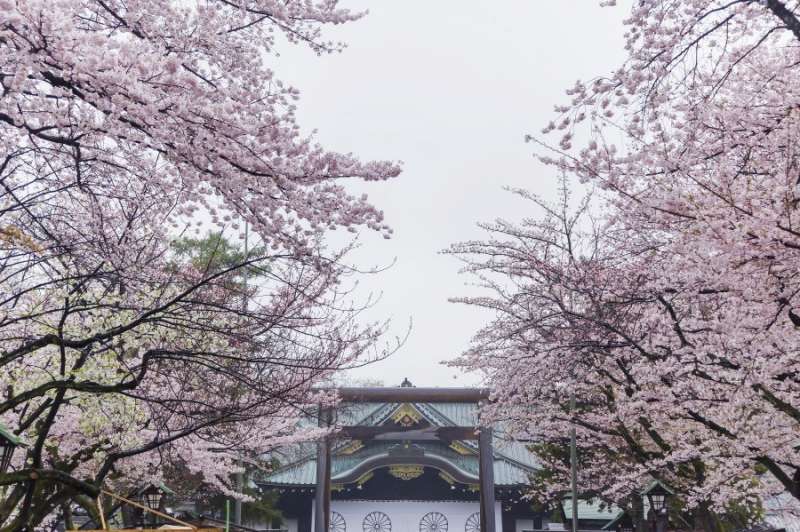 (圖/KKday提供) (圖/KKday提供)