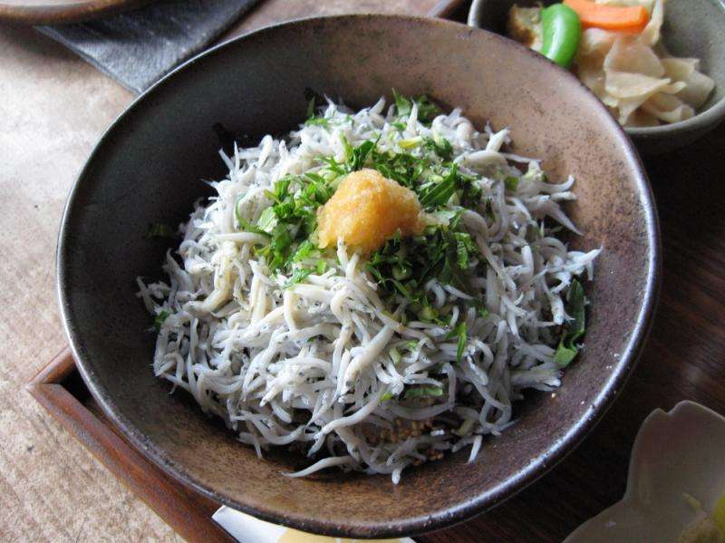 安藝市漁獲豐富,「銀魚蓋飯」絕對不可錯過。(圖/高知縣安藝市) 安藝市漁獲豐富,「銀魚蓋飯」絕對不可錯過。(圖/高知縣安藝市)
