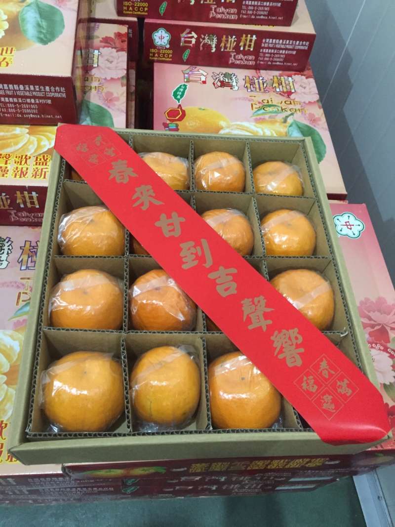 今年椪柑品質佳且價格合理，尤其年節將近，更是送禮的好選擇。（圖／嘉義縣政府提供）
