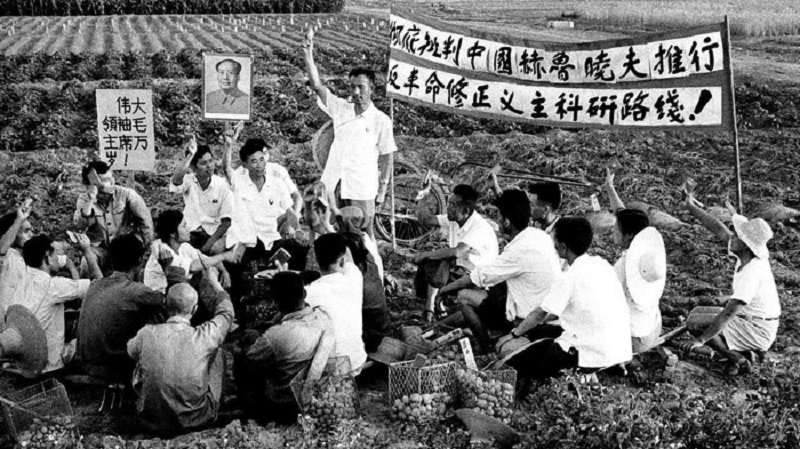 反右時期的農村一景。(網路) 反右時期的農村一景。(網路)