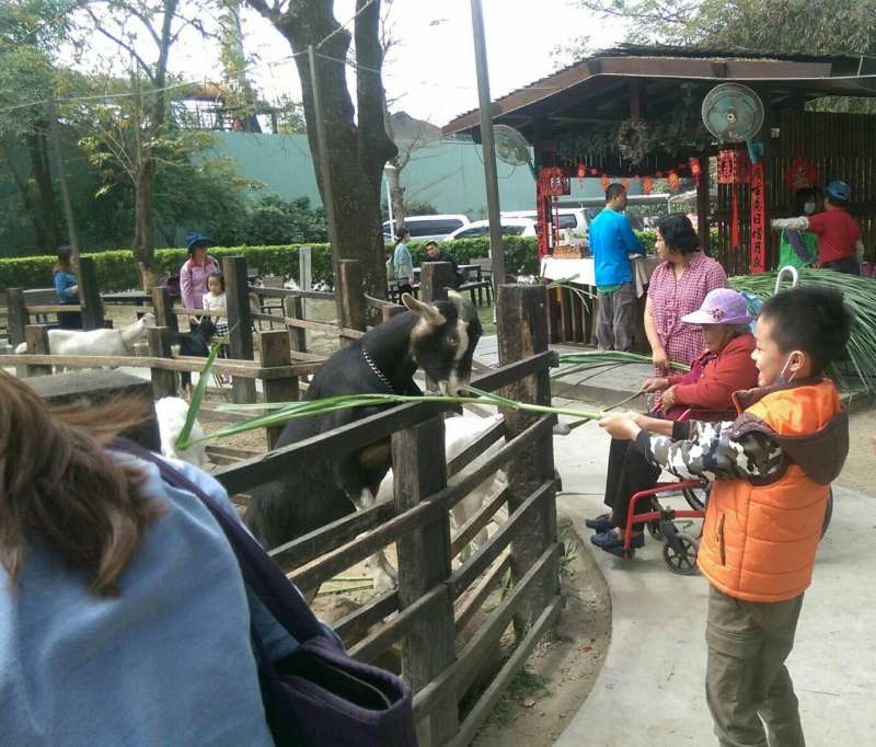 孩子們在羊奶牧場用牧場餵小羊，跟羊群們近距離互動。（圖／高雄市政府農業局提供）