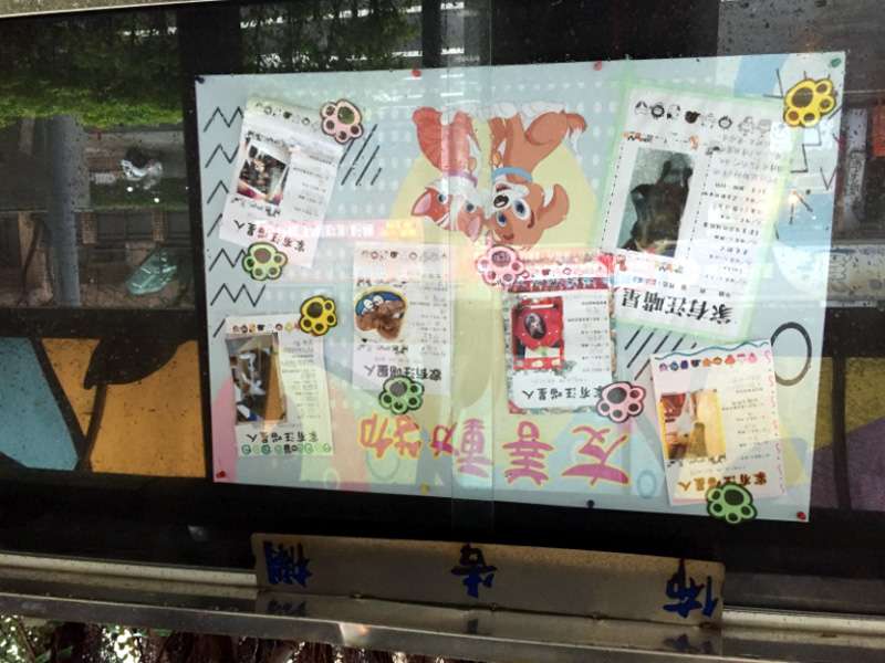 校園內有養貓犬的小朋友,分享飼養的資料與心得。(圖/張毅攝) 校園內有養貓犬的小朋友,分享飼養的資料與心得。(圖/張毅攝)