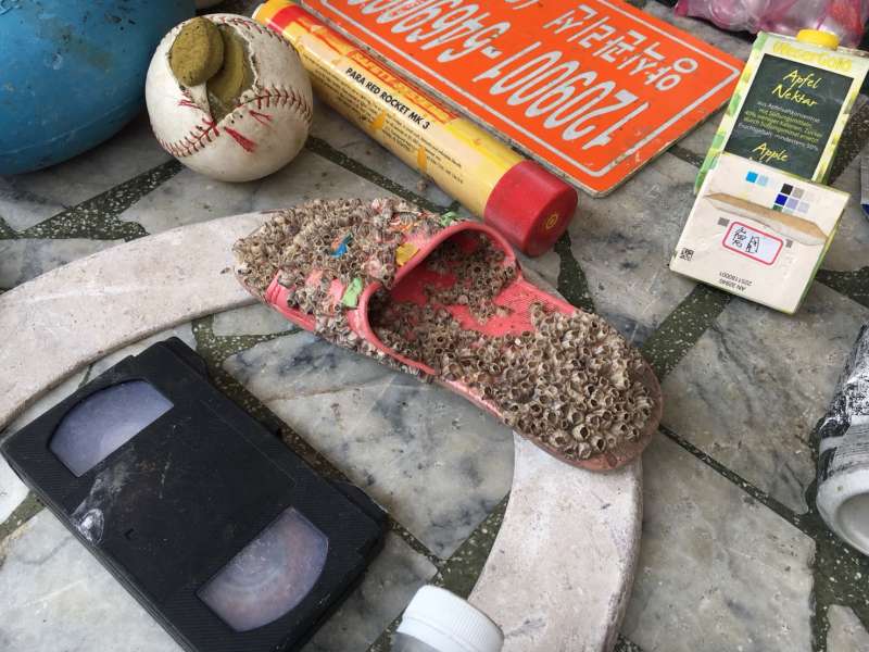 就算是不能分解的塑膠,理論上在海中十多年應該也會碎裂成小塊狀,但這只拖鞋不只外觀完整,還長滿藤壺,陳大哥感嘆地說:「你看現在這些東西多恐怖。」(圖/鐘敏瑜攝) 就算是不能分解的塑膠,理論上在海中十多年應該也會碎裂成小塊狀,但這只拖鞋不只外觀完整,還長滿藤壺,陳大哥感嘆地說:「你看現在這些東西多恐怖。」(圖/鐘敏瑜攝)