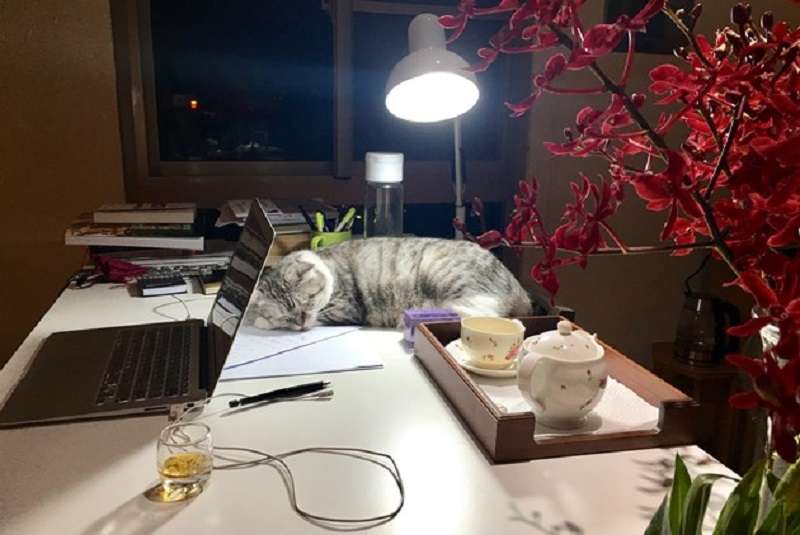 陪伴。(龍應台提供) 陪伴。(龍應台提供)