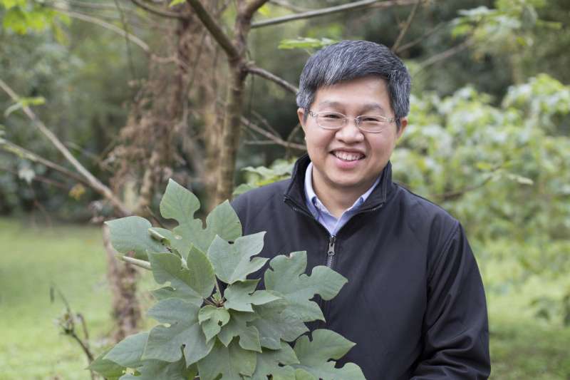 對於從構樹葉綠體基因描繪出南島語族史前航線、佐證「出臺灣說」的研究過程,鍾國芳認為是「努力與幸運的結合」。(圖/張語辰,研之有物提供) 對於從構樹葉綠體基因描繪出南島語族史前航線、佐證「出臺灣說」的研究過程,鍾國芳認為是「努力與幸運的結合」。(圖/張語辰,研之有物提供)