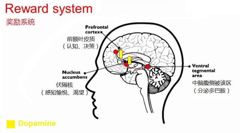 （圖／愛范兒提供）