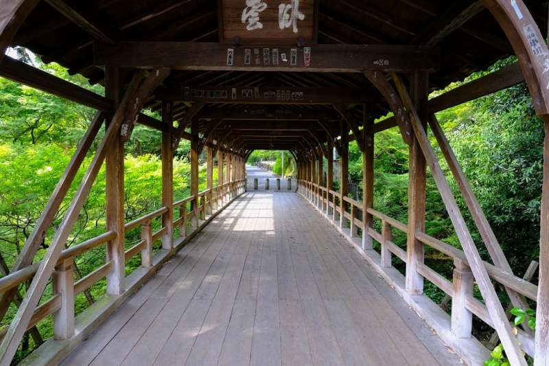無論走到哪個角落,都被綠意包圍。(圖/ZEKKEI Japan) 無論走到哪個角落,都被綠意包圍。(圖/ZEKKEI Japan)