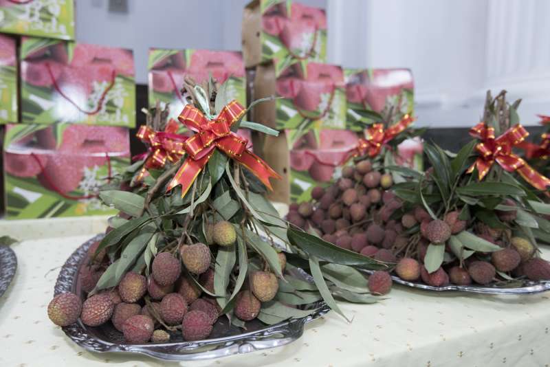 新竹市荔枝以生產黑葉及桂味品種為主，果實圓潤飽滿，口感鮮甜、果肉厚實為最大特點。（圖／新竹市政府提供）