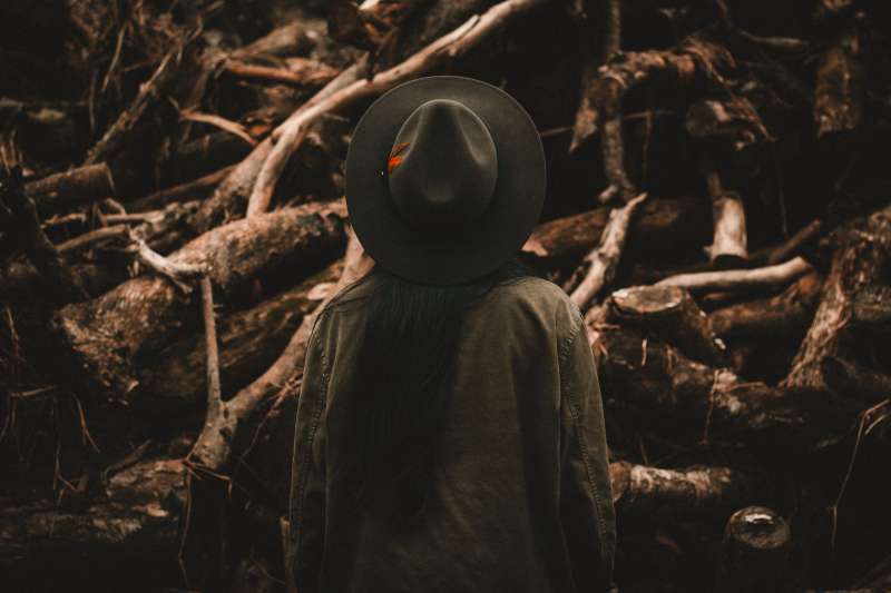 (圖/Allef Vinicius @ Unsplash,NPOst 公益交流站提供) (圖/Allef Vinicius @ Unsplash,NPOst 公益交流站提供)
