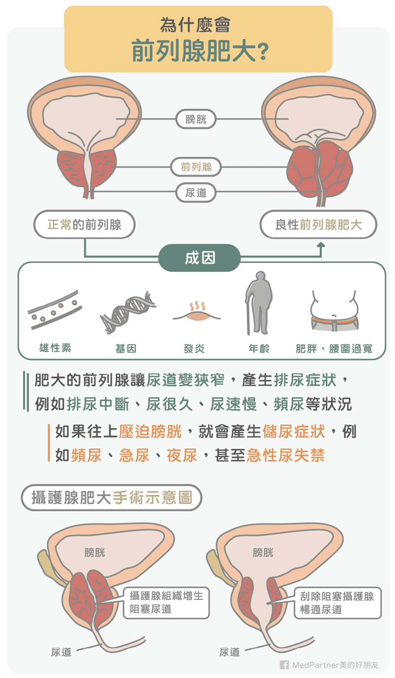 (圖/Medpartner) (圖/Medpartner)