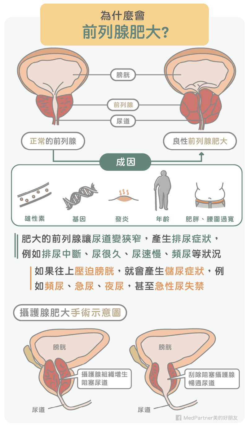 （圖/Medpartner）