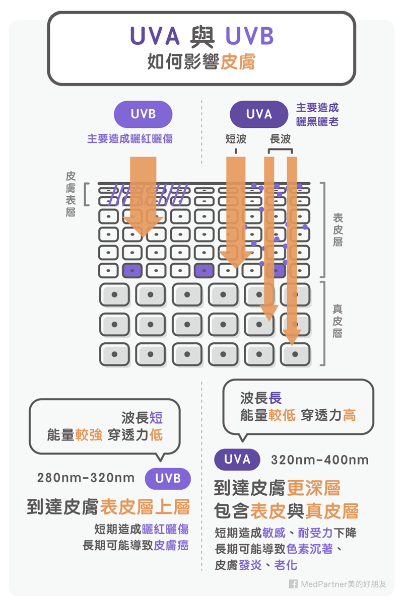 防曬系列:UVA與UVB(圖/Medpartner) 防曬系列:UVA與UVB(圖/Medpartner)