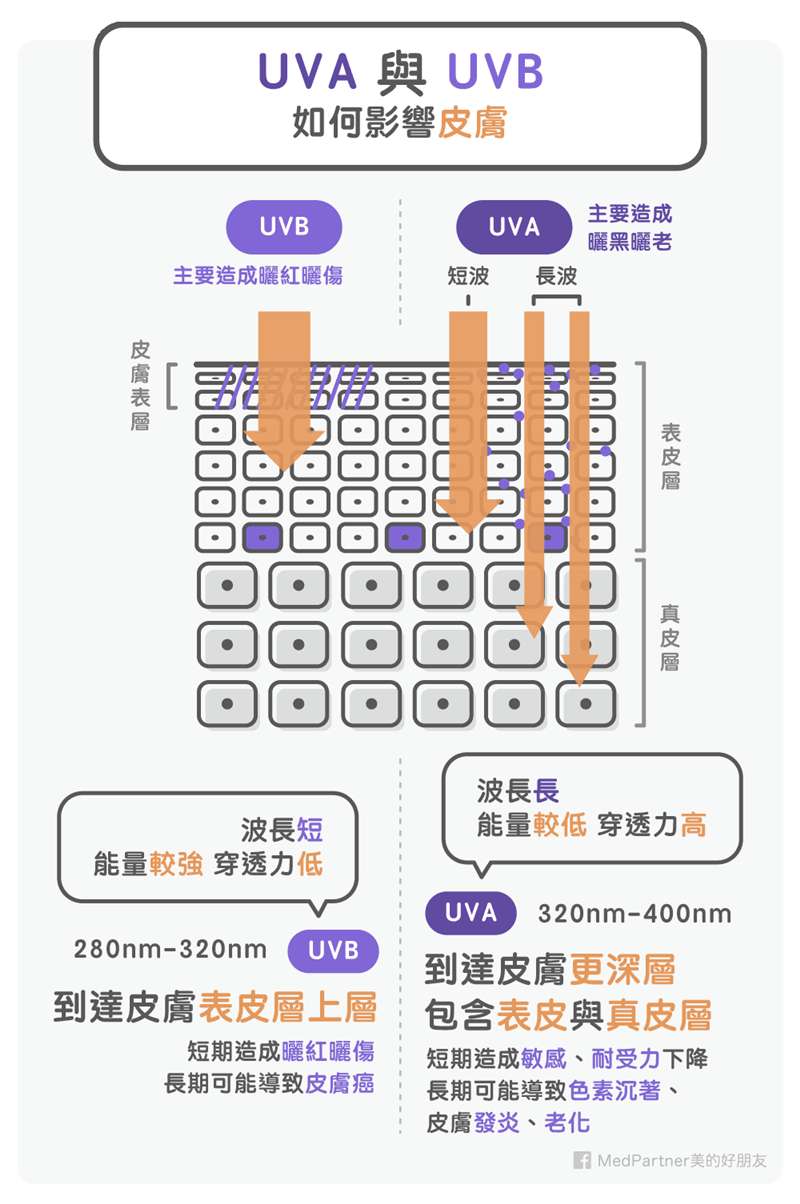 防曬系列：UVA與UVB（圖/Medpartner）