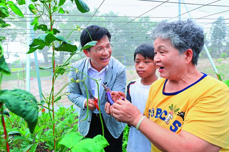 林佳龍市長參訪當天，也與開心農場裡的同學及阿嬤一起享受田園樂。(圖／台中市政府提供)