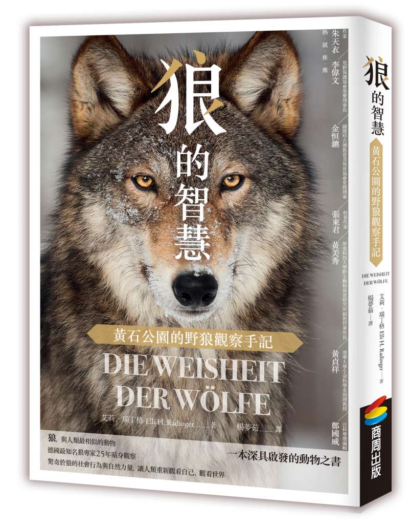 《狼的智慧》立體書封(商周出版提供) 《狼的智慧》立體書封(商周出版提供)