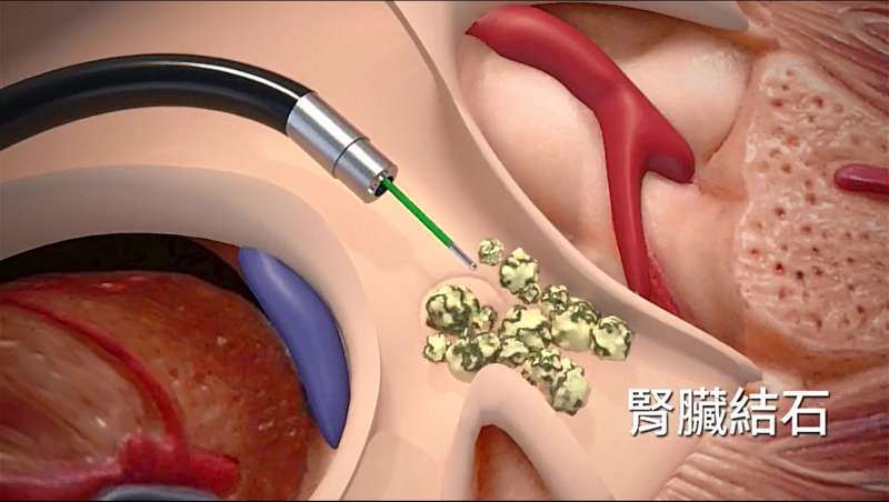 （圖片來源：國立臺灣大學醫學院附設醫院醫療體系全球資訊網，http://www.ntuh.gov.tw/default_SP.aspx）