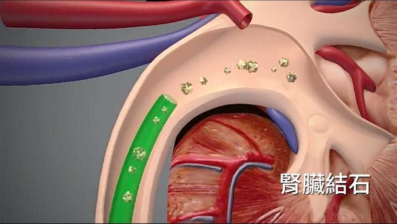 （圖片來源：國立臺灣大學醫學院附設醫院醫療體系全球資訊網，http://www.ntuh.gov.tw/default_SP.aspx）