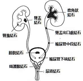 (圖片來源:國立臺灣大學醫學院附設醫院醫療體系全球資訊網,http://www.ntuh.gov.tw/default_SP.aspx) (圖片來源:國立臺灣大學醫學院附設醫院醫療體系全球資訊網,http://www.ntuh.gov.tw/default_SP.aspx)