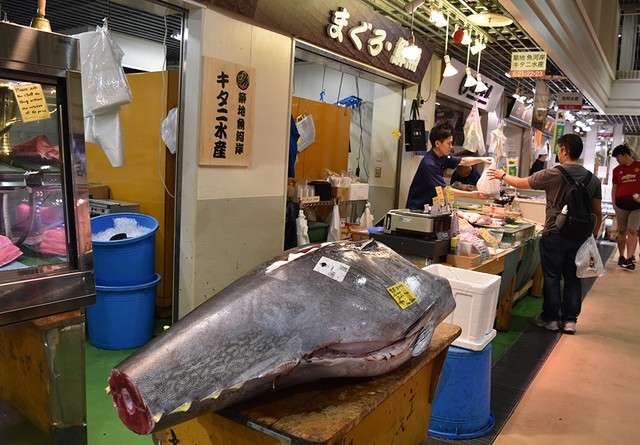 築地魚河岸的鮮魚店在店頭擺出巨大鮪魚(圖/潮日本) 築地魚河岸的鮮魚店在店頭擺出巨大鮪魚(圖/潮日本)