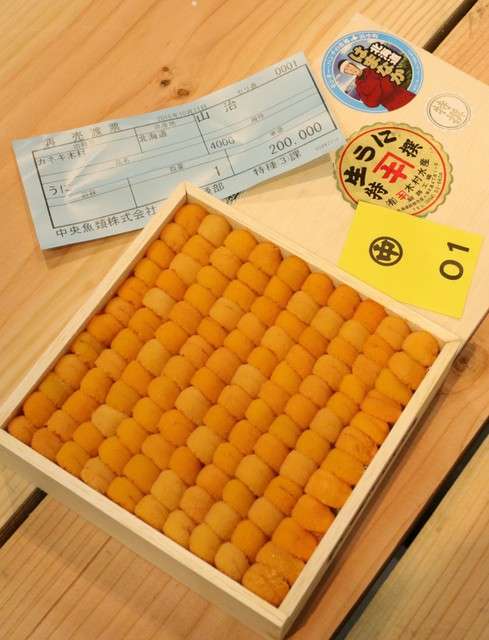 豐洲市場開幕首日,中盤商「山治」以每箱20萬日圓(約合新台幣6萬元)買進北海道產的生海膽(圖/潮日本) 豐洲市場開幕首日,中盤商「山治」以每箱20萬日圓(約合新台幣6萬元)買進北海道產的生海膽(圖/潮日本)