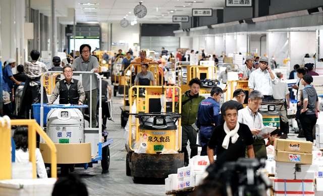 豐洲市場水產中盤賣場棟因三輪搬運車往來而顯得擁擠(圖/潮日本) 豐洲市場水產中盤賣場棟因三輪搬運車往來而顯得擁擠(圖/潮日本)