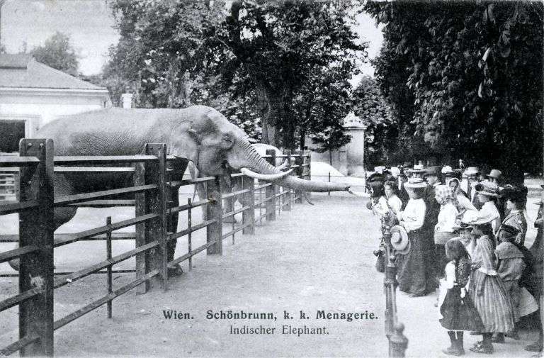 維也納動物園(~1910)(圖/好青年荼毒室) 維也納動物園(~1910)(圖/好青年荼毒室)