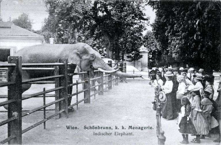 維也納動物園（～1910）（圖／好青年荼毒室）