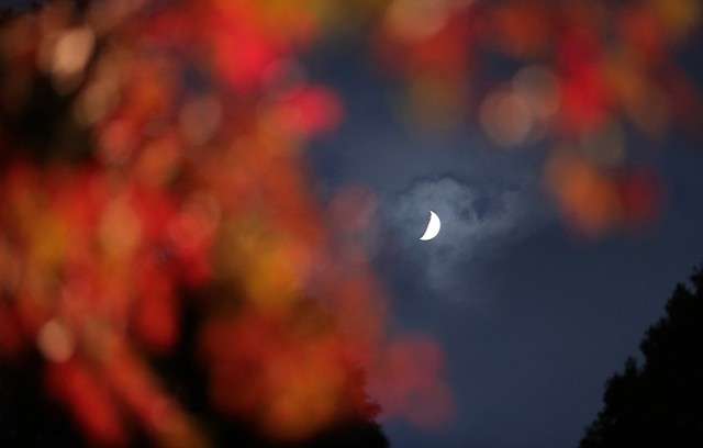 隔著紅葉欣賞月亮。(圖/潮日本) 隔著紅葉欣賞月亮。(圖/潮日本)