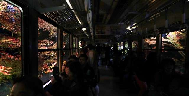 當車內的照明關閉,點燈後的楓樹穿過窗戶浮現於眼前。(圖/潮日本) 當車內的照明關閉,點燈後的楓樹穿過窗戶浮現於眼前。(圖/潮日本)