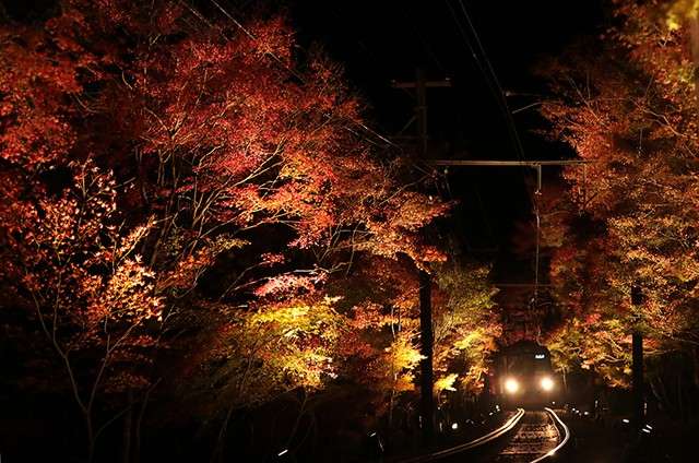 「紅葉列車」穿越「紅葉隧道」前進。(圖/潮日本) 「紅葉列車」穿越「紅葉隧道」前進。(圖/潮日本)