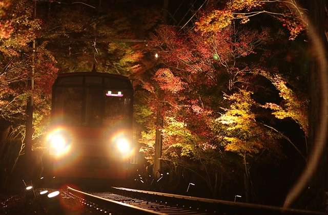 「紅葉列車」於「紅葉隧道」中以緩慢運行的方式前進。(圖/潮日本) 「紅葉列車」於「紅葉隧道」中以緩慢運行的方式前進。(圖/潮日本)