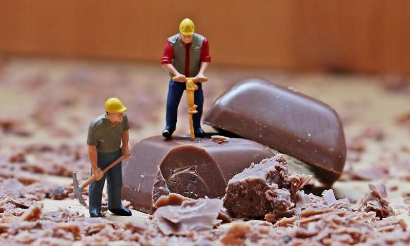 近期政大校園內掀起了「施工風潮」為學生與師長都造成不便 (圖/Pixabay) 近期政大校園內掀起了「施工風潮」為學生與師長都造成不便 (圖/Pixabay)