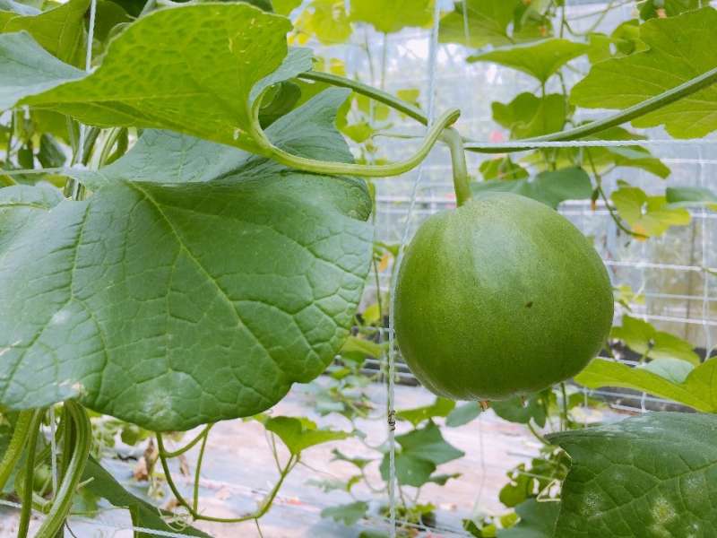 (圖/奧丁丁) (圖/奧丁丁)